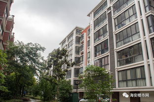 弘博 名人世家二期工程即将竣工