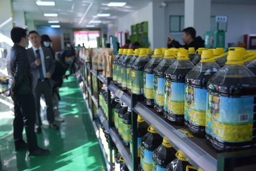 百年荣光 生态洋州 2021全国重点网媒 网络名人采风团走进洋县