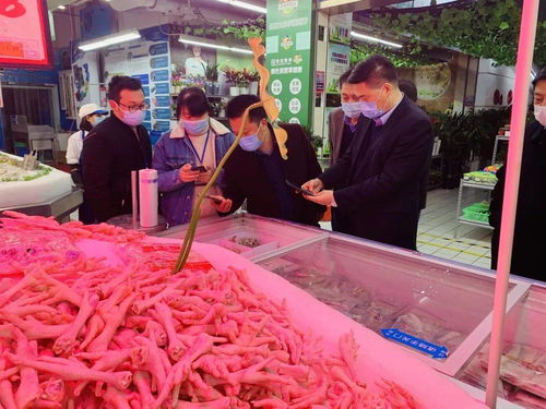 郑志华副市长带队检查主城区重点场所疫情防控工作