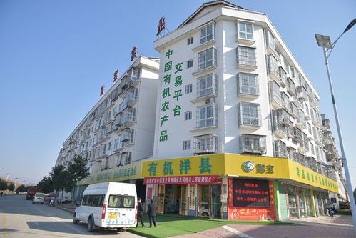 百年荣光 生态洋州 2021全国重点网媒 网络名人采风团走进洋县