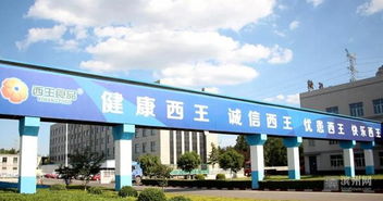 西王食品公司获评国家绿色工厂