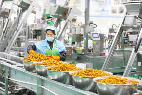 政策呵护预制菜产业茁壮成长 助推三产融合更好实现