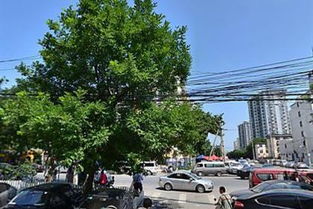 上海森茂金属制品厂