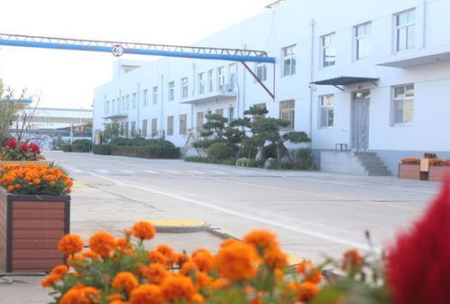 施尔得创新 食品 旅游 文化 新模式 打造丰南区首个3a级 食品厂景区