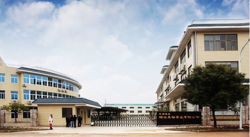 茶的情怀,筑梦他的第二故乡 记新新昌茶人黄诚