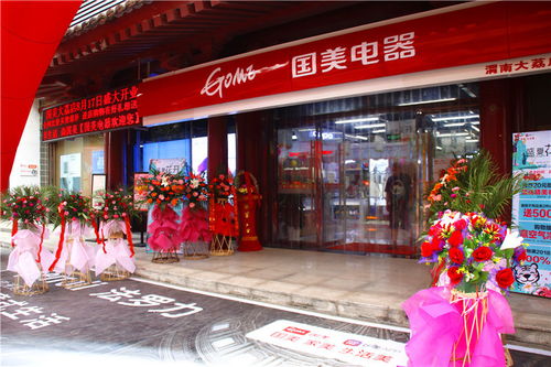 国美电器 打造大荔人民全新生活品质