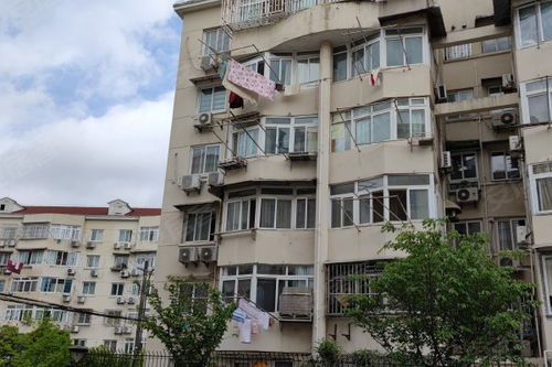 天元公寓优点 不足,天元公寓怎么样,天元公寓周边房产中介经纪人评价