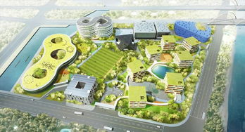 上海三大名校齐聚，铜陵名流超市周边崛起新教育强区